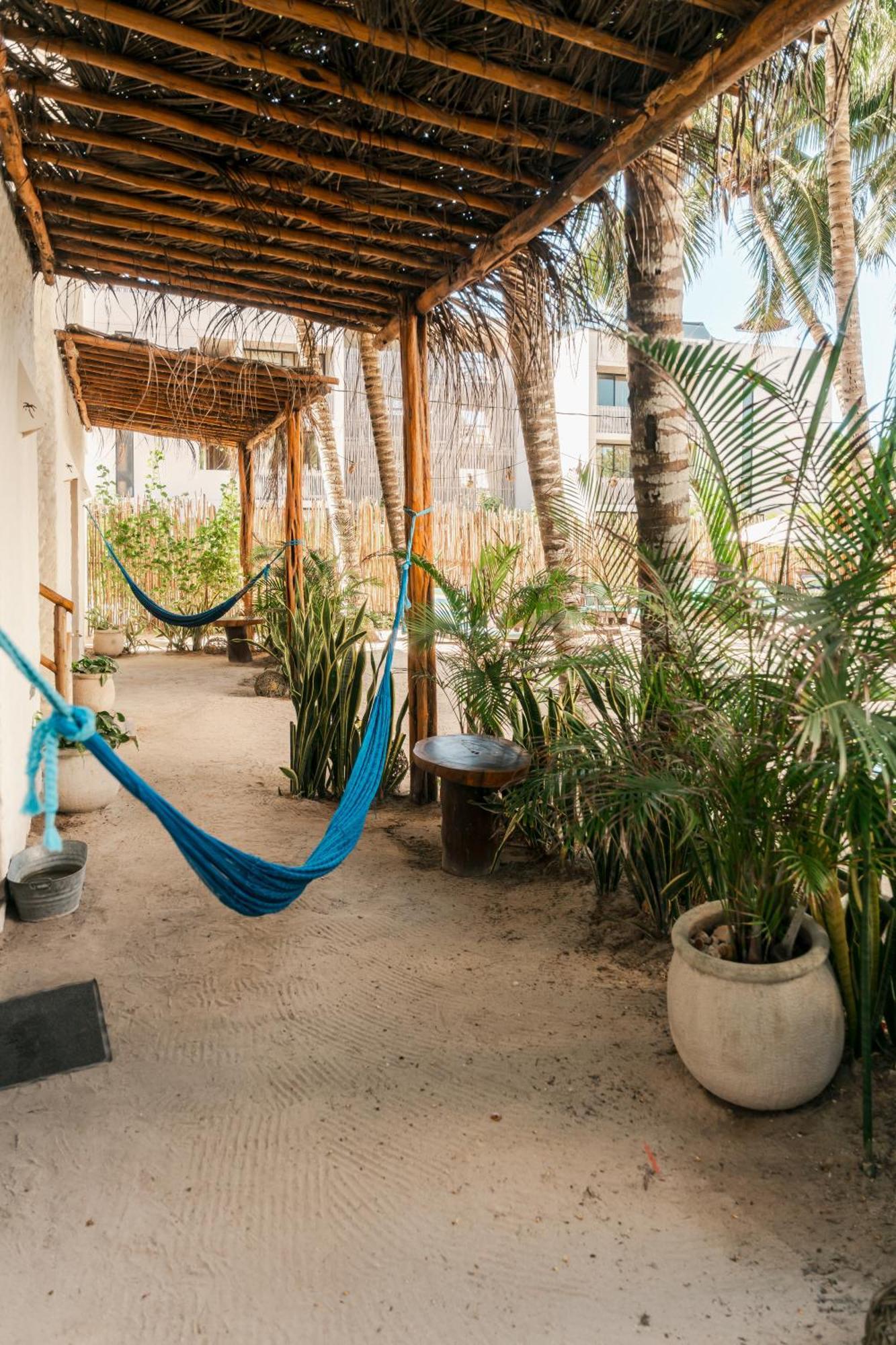 Hotel Boutique Can Cocal El Cuyo Dış mekan fotoğraf